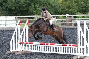 Class 3 -  Fences not above 2'3